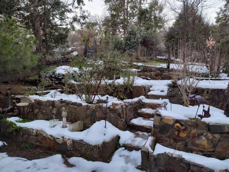 הוילה Miramonte O'Brien'S Oasis מראה חיצוני תמונה