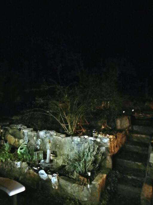 הוילה Miramonte O'Brien'S Oasis מראה חיצוני תמונה