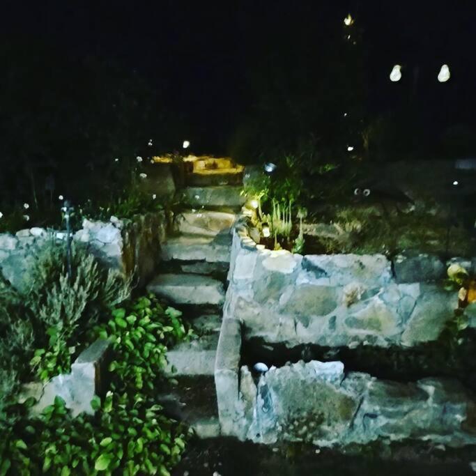 הוילה Miramonte O'Brien'S Oasis מראה חיצוני תמונה