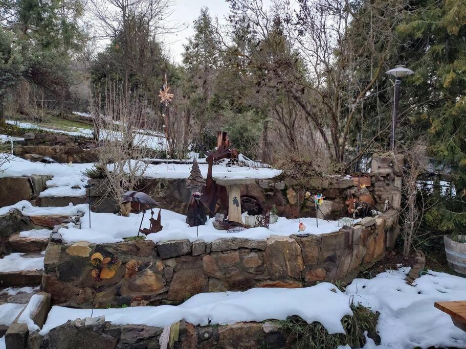 הוילה Miramonte O'Brien'S Oasis מראה חיצוני תמונה