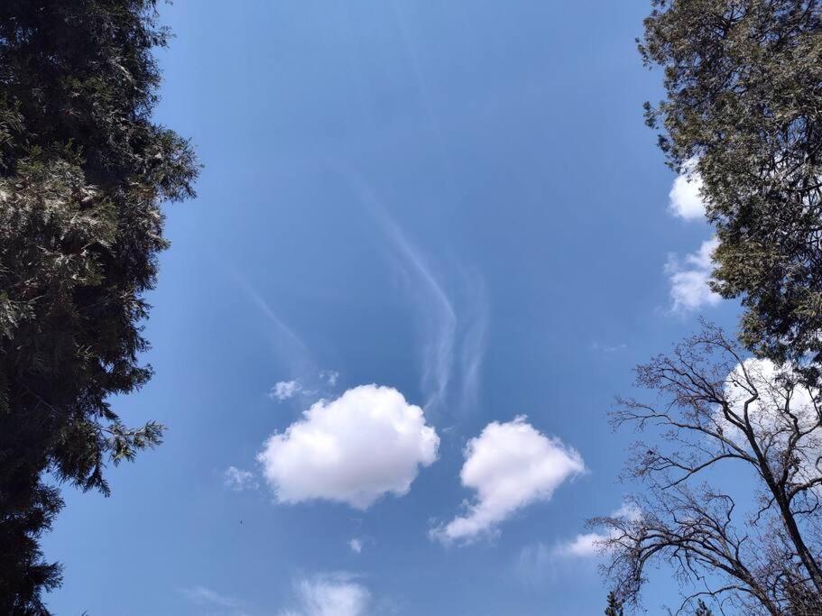 הוילה Miramonte O'Brien'S Oasis מראה חיצוני תמונה